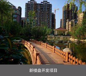 雙柱簡(jiǎn)易類立體車位新樓盤開發(fā)項(xiàng)目
