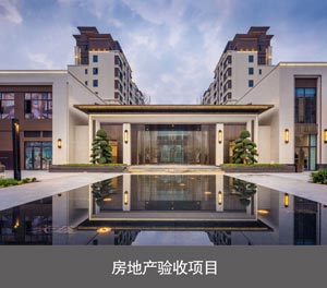 雙柱簡(jiǎn)易類立體車位房地產(chǎn)驗(yàn)收項(xiàng)目